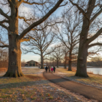 lewis center ohio champion trees