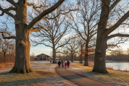 lewis center ohio champion trees