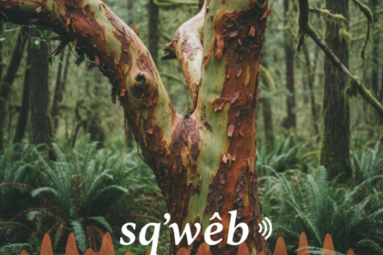 madrone in lushootseed pronunciation audio