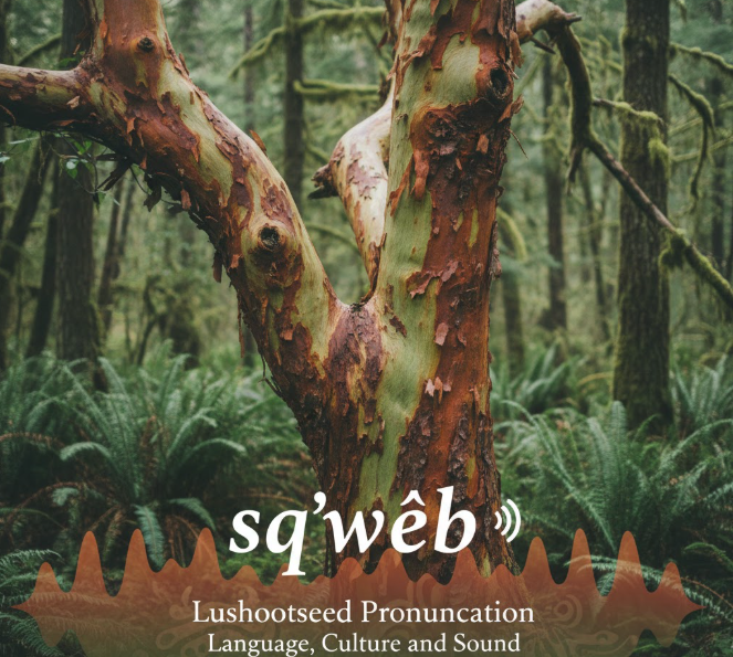 madrone in lushootseed pronunciation audio