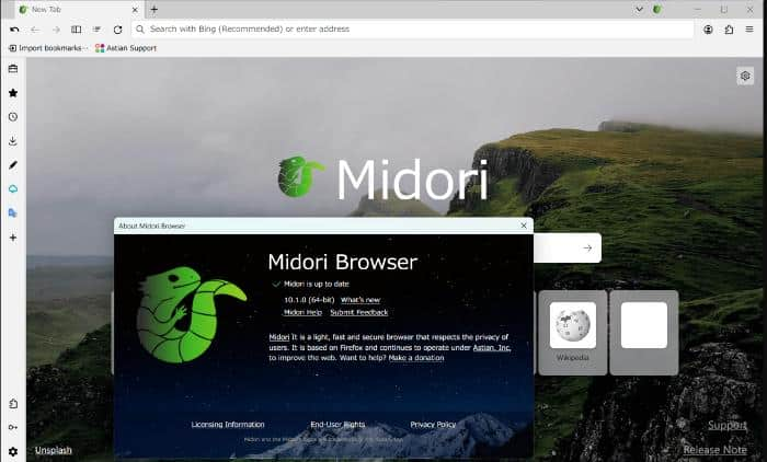 best browser for low end pc